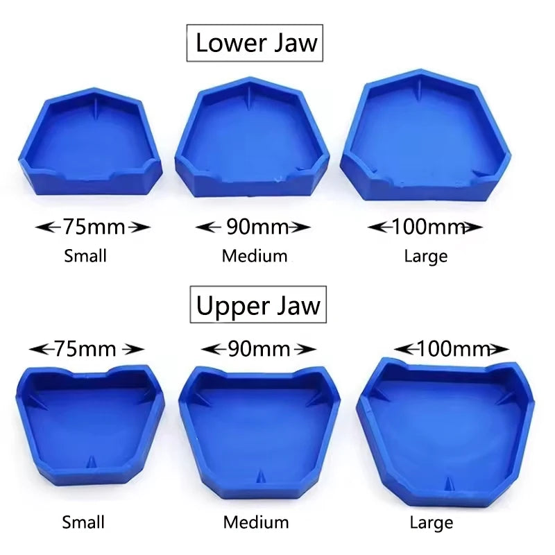 2/6Pcs Dental Model Base Silicon Plaster Model Base Denture Impression Trays Dentistry Former Base Kit Dentist Laboratory Tools