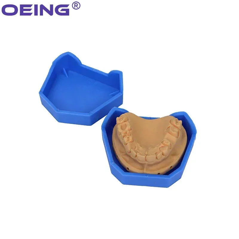 2/6Pcs Dental Model Base Silicon Plaster Model Base Denture Impression Tray Impression Dentistry Former Base Kit Dentist Tools