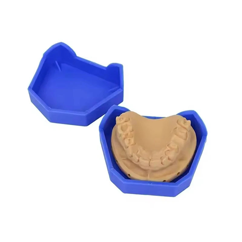 2/6Pcs Dental Model Base Silicon Plaster Model Base Denture Impression Trays Dentistry Former Base Kit Dentist Laboratory Tools