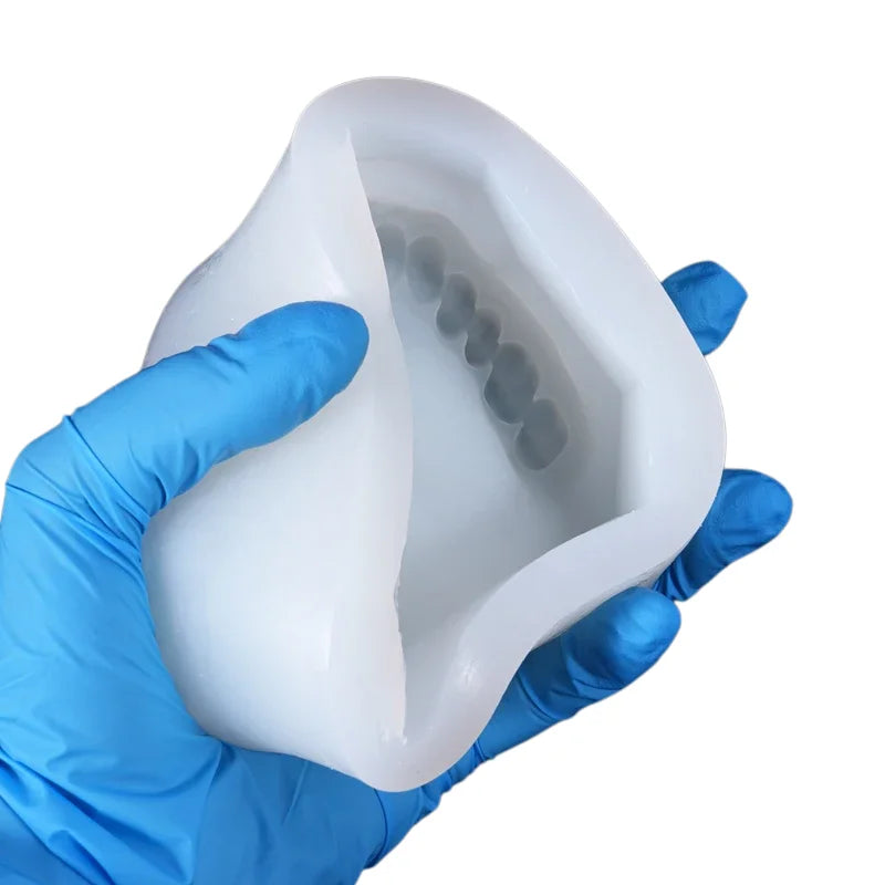 2pcs/set Silicone Dental Plaster Model Mold Mould Standard Teeth Complete Cavity Block Reusable Dentistry Teaching Study Tool
